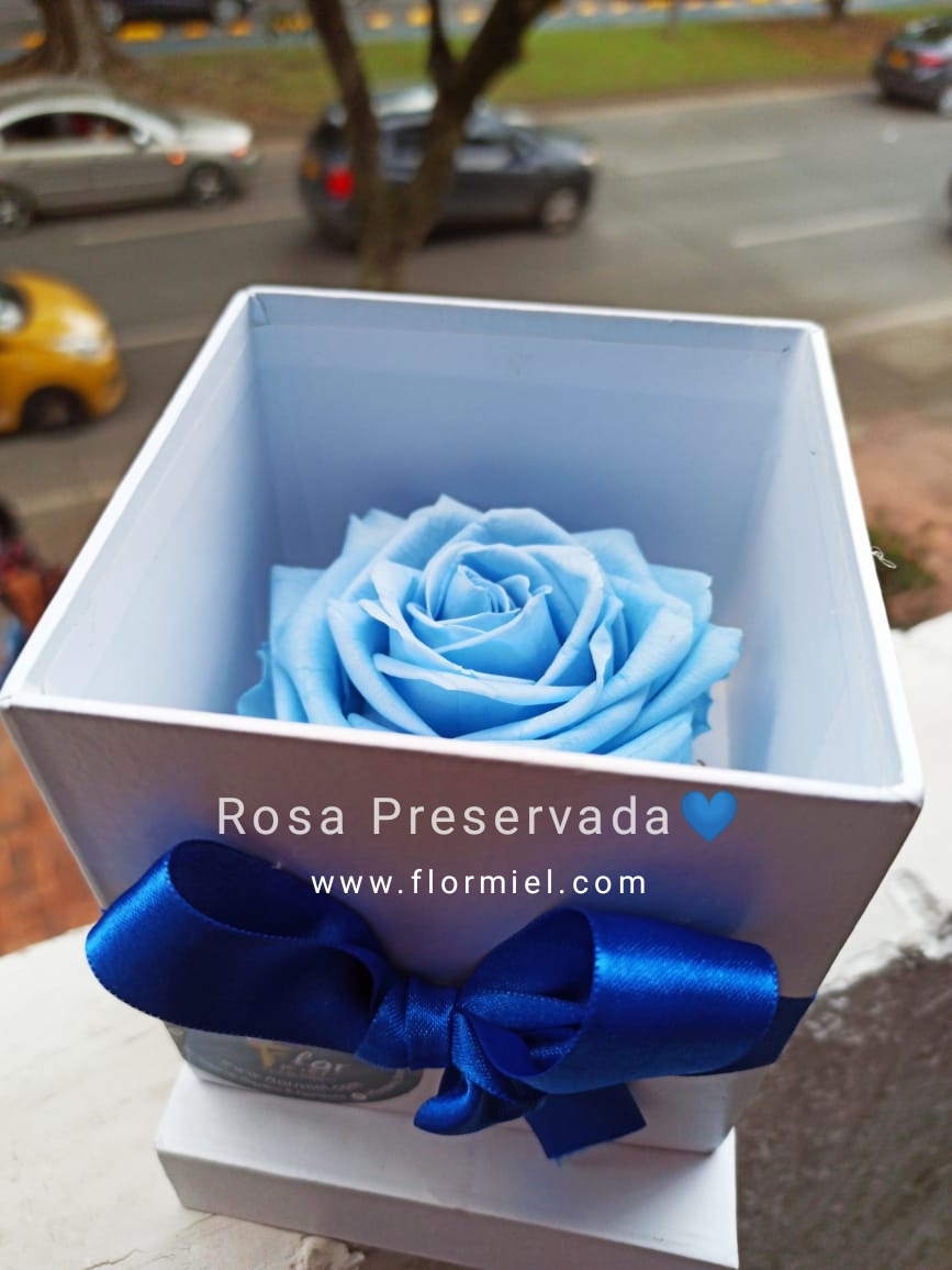 Rosa Preservada Azul Celeste Flor Miel | FLOR MIEL