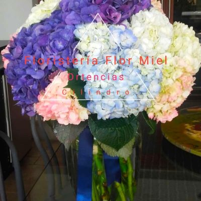 hortensias de colores | FLOR MIEL